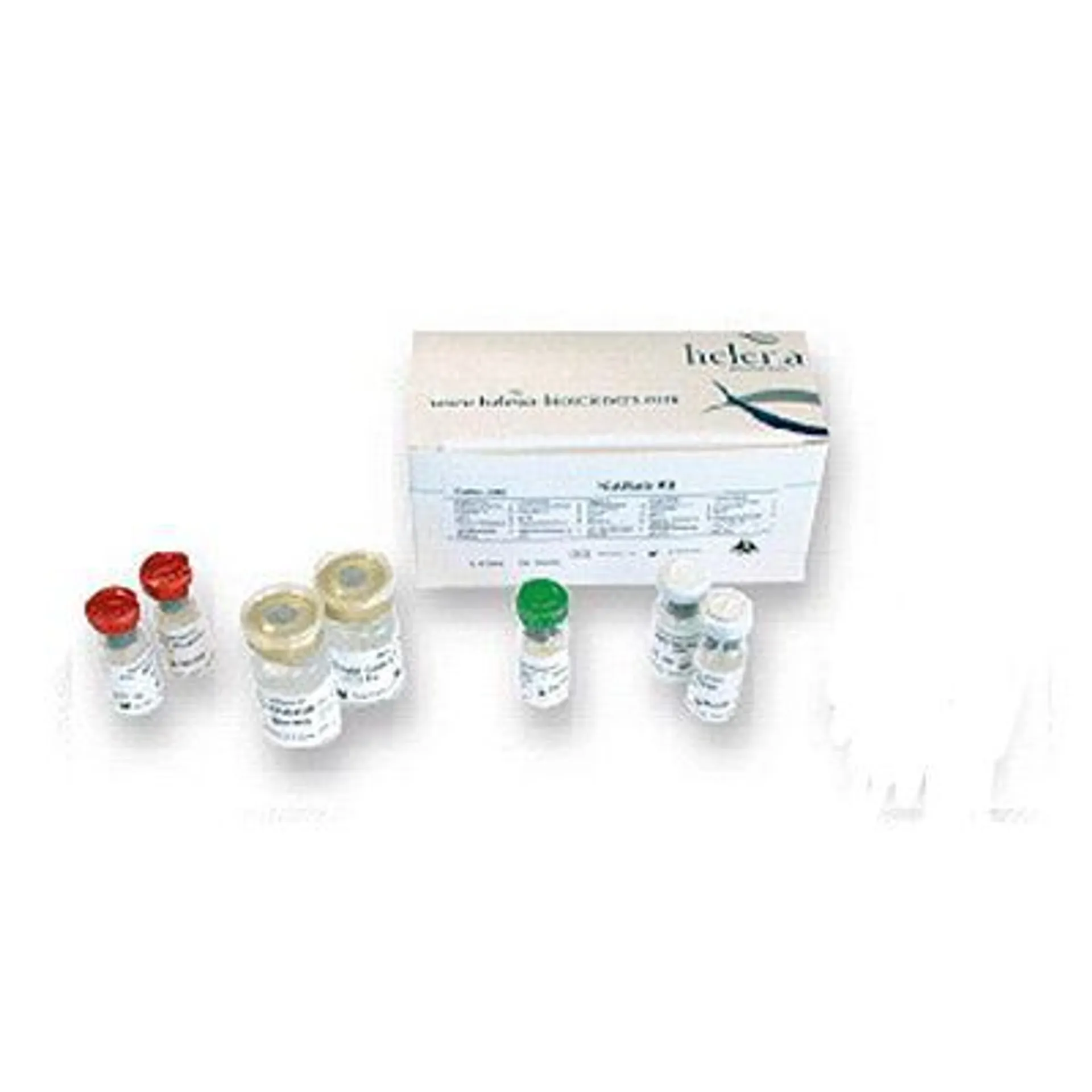 Предпросмотр изображения