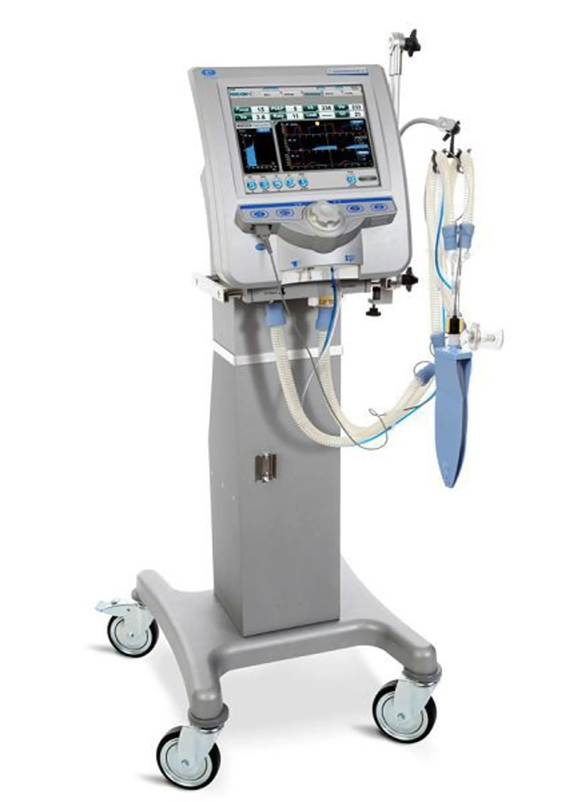 Предпросмотр изображения