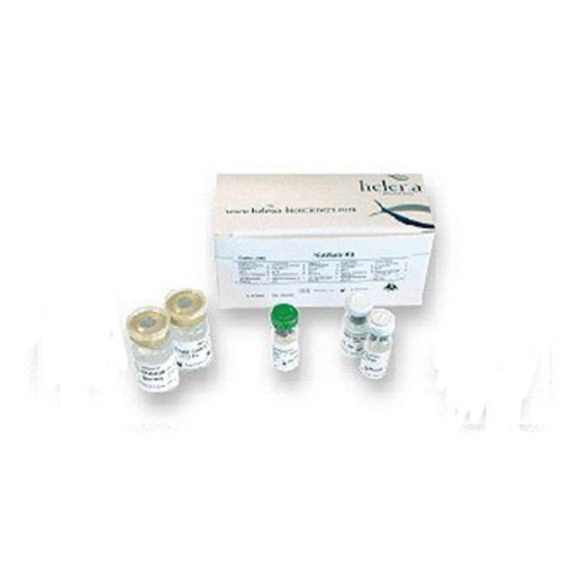 Предпросмотр изображения