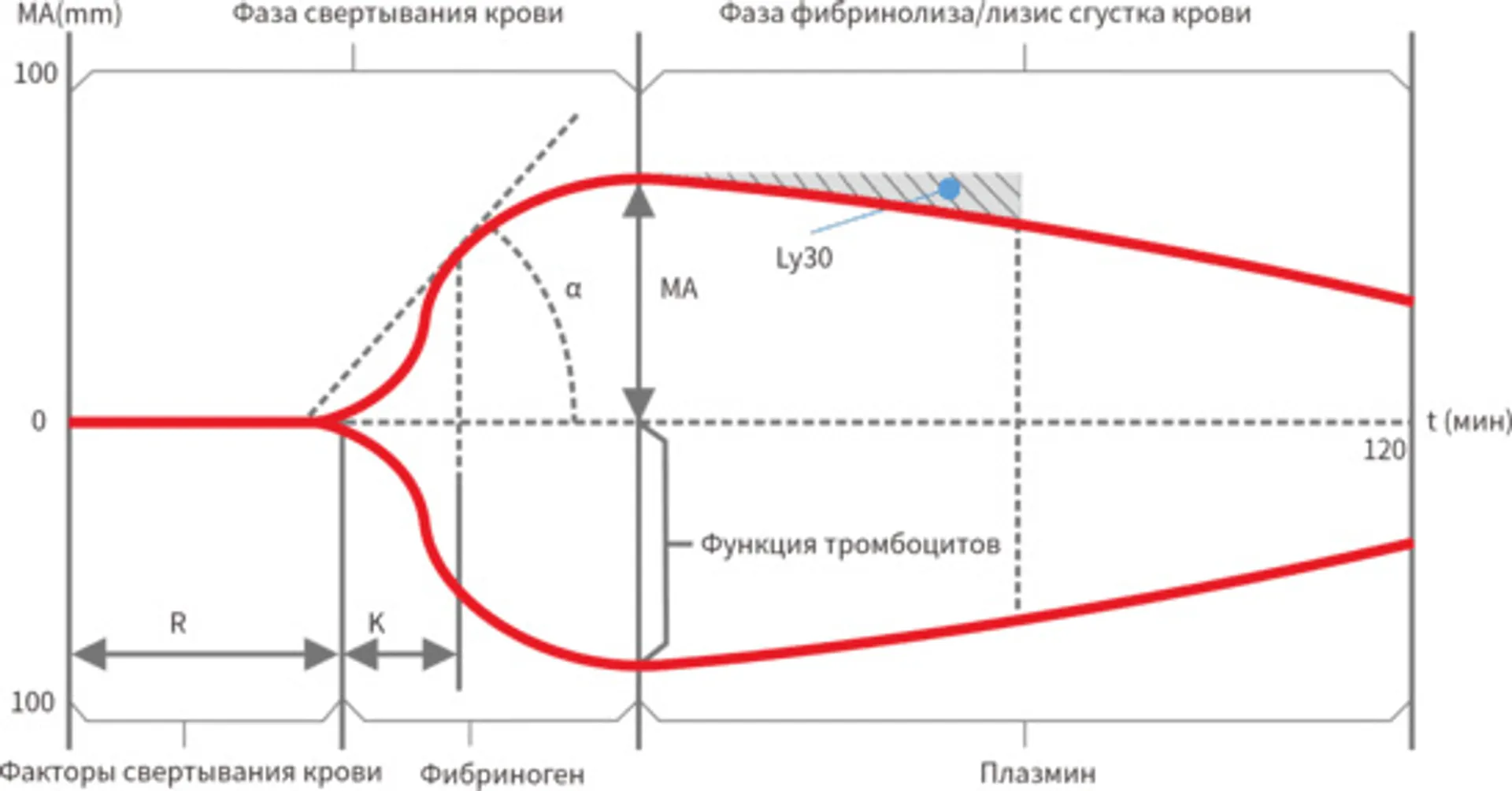 Предпросмотр изображения