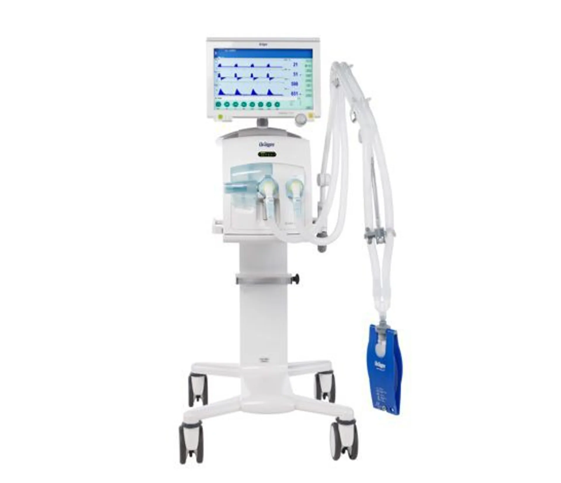 Предпросмотр изображения