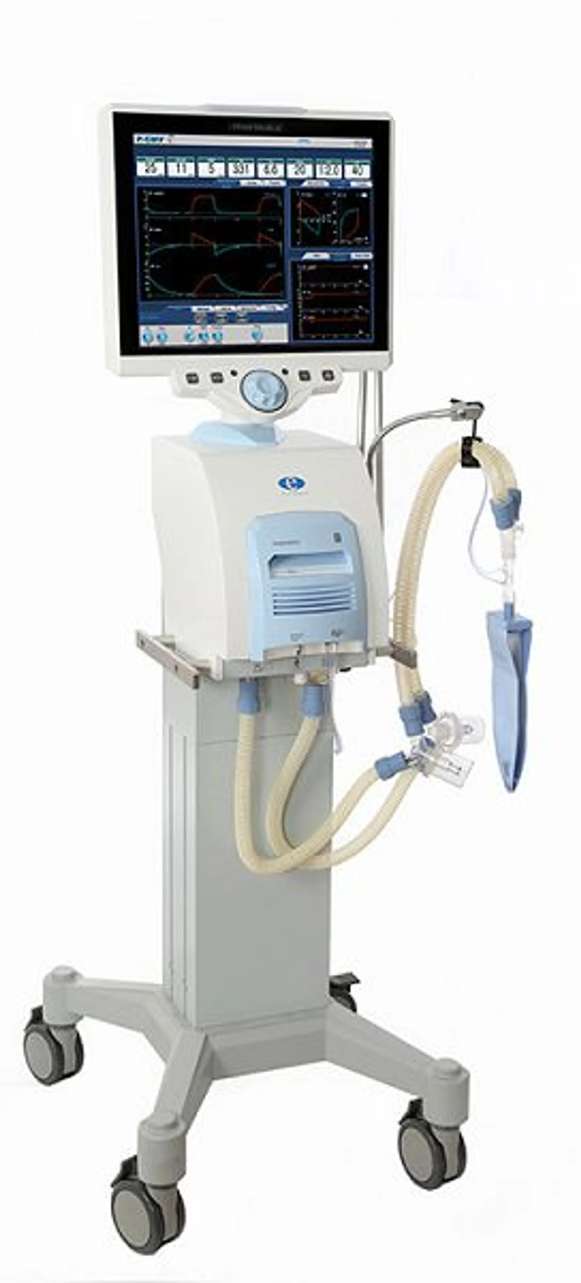 Предпросмотр изображения