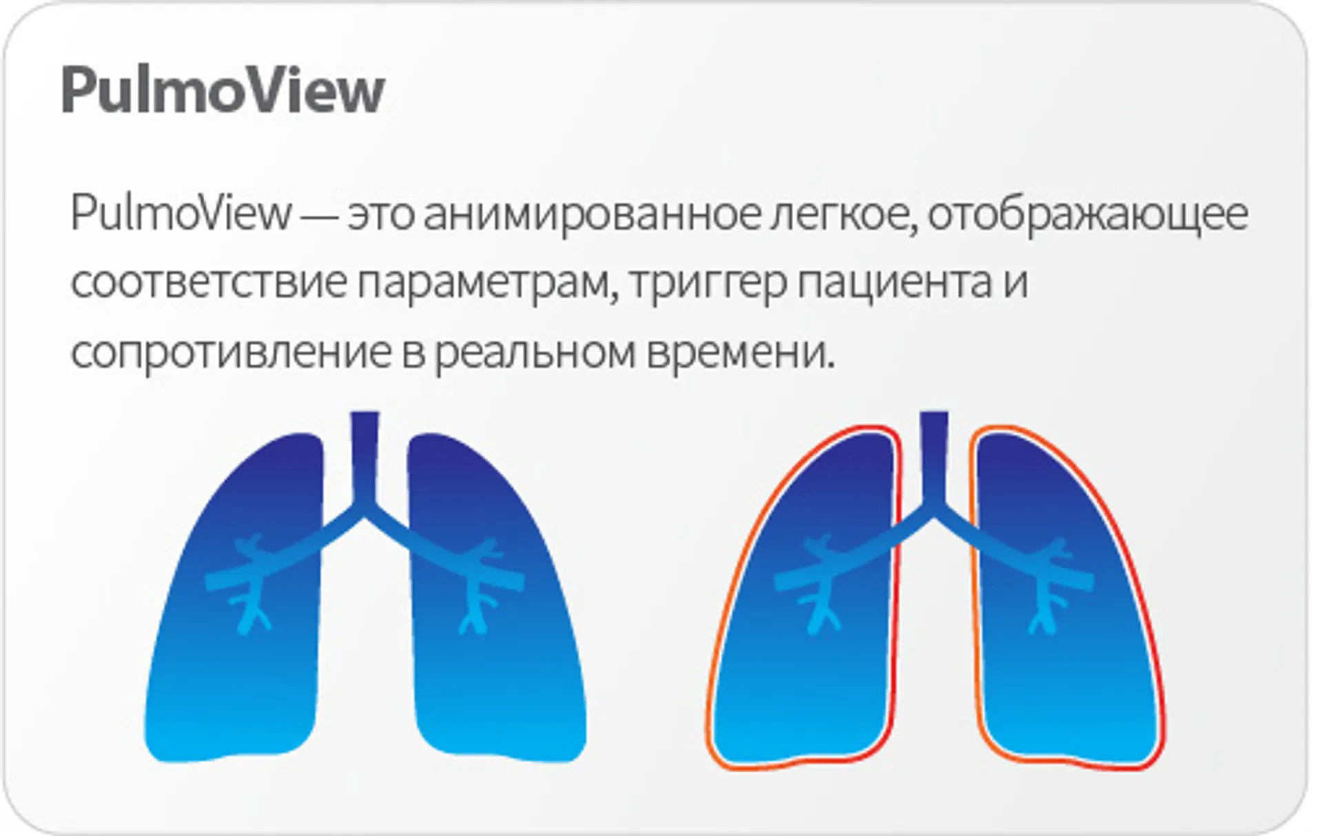 Предпросмотр изображения